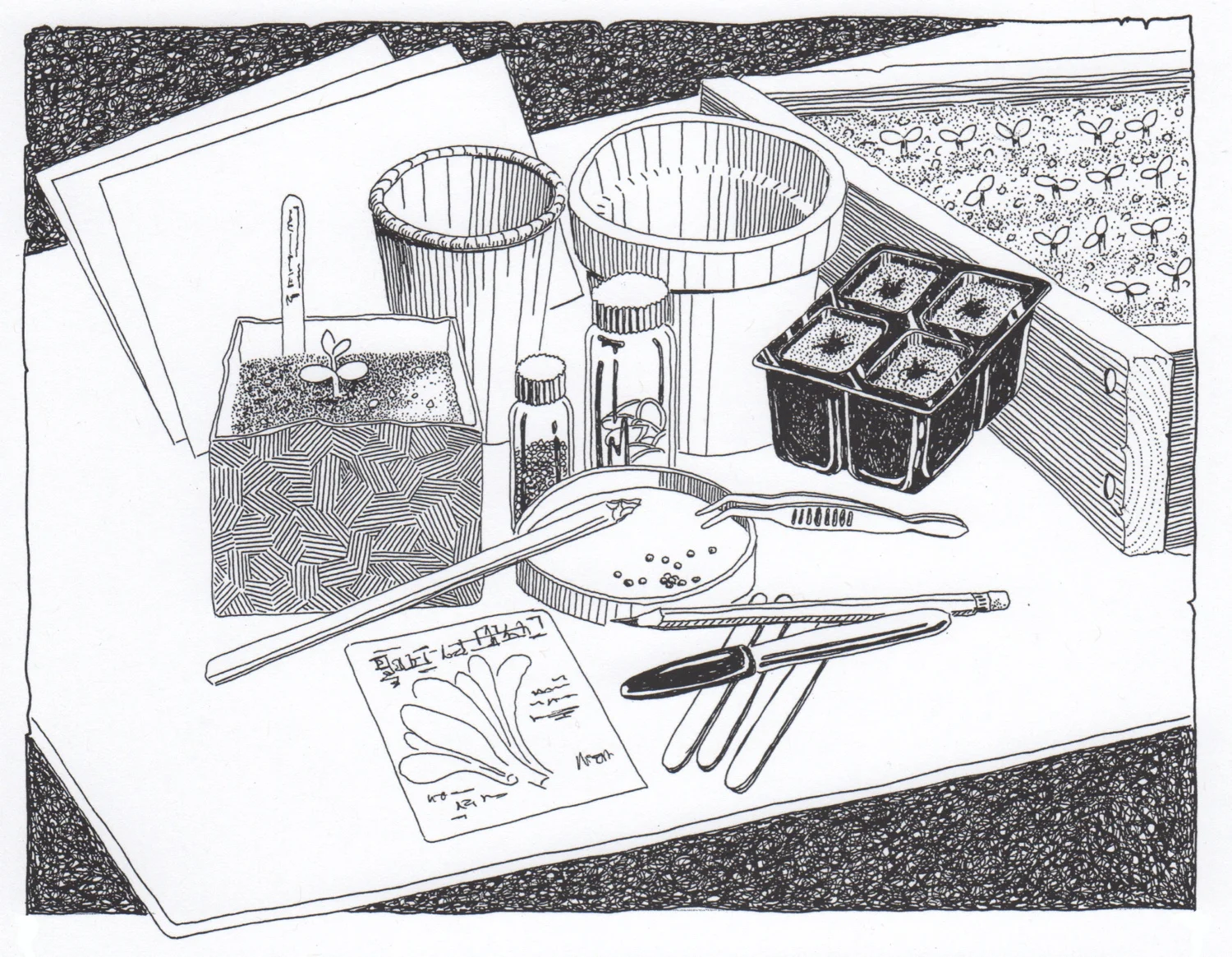"Starting seeds", an illustration from the hand-lettered and hand-illustrated book Gardening: an Ecological Approach . © Fred Montague