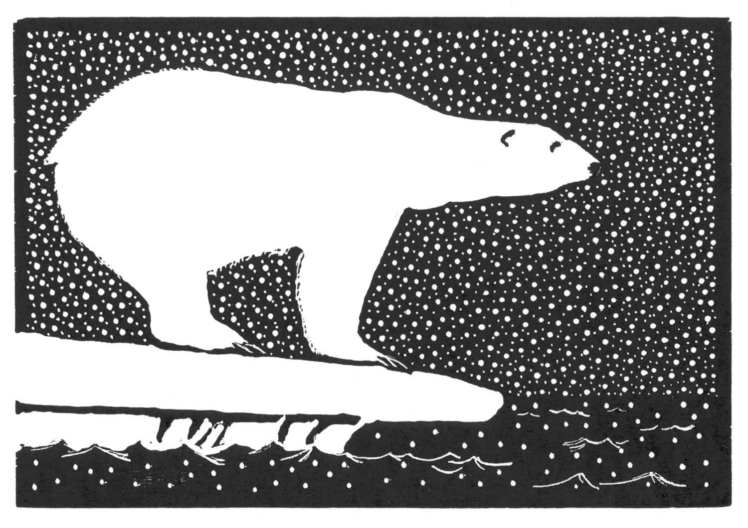 Polar Bear • © Fred Montague $48 • image 8 x 5.5 • mat 14 x 11 Edition size: 88 • status: available