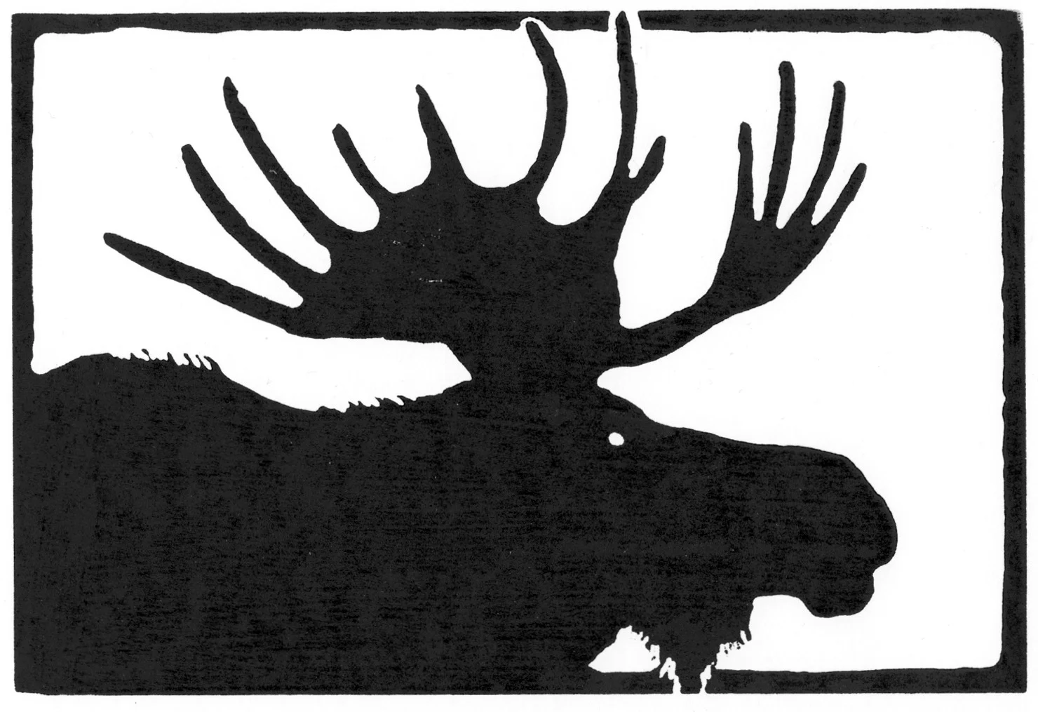 Bull Moose