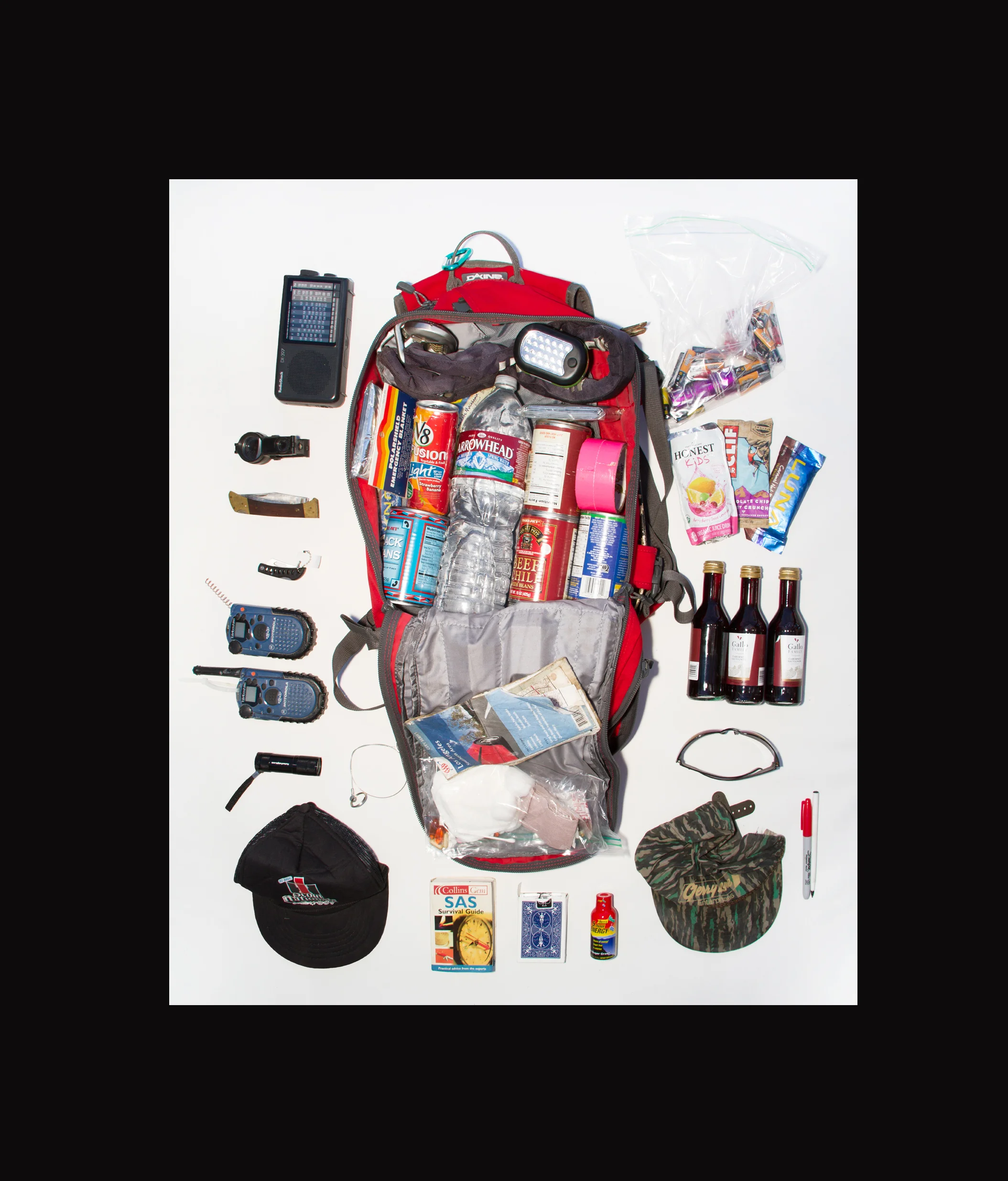 Bug Out Bag — Allison Stewart