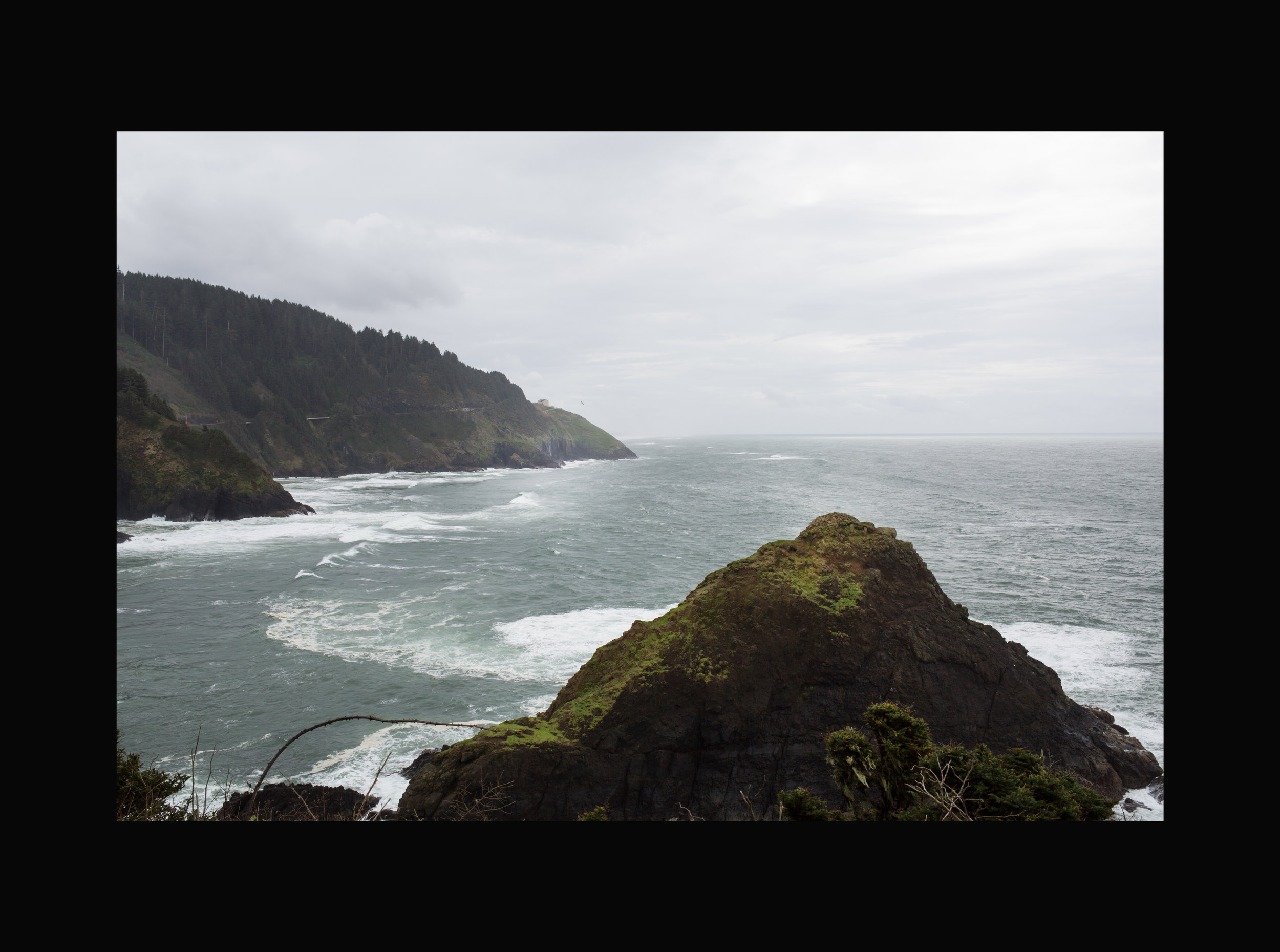 Oregon Coast, Home to Amber and the Disaster Dogs