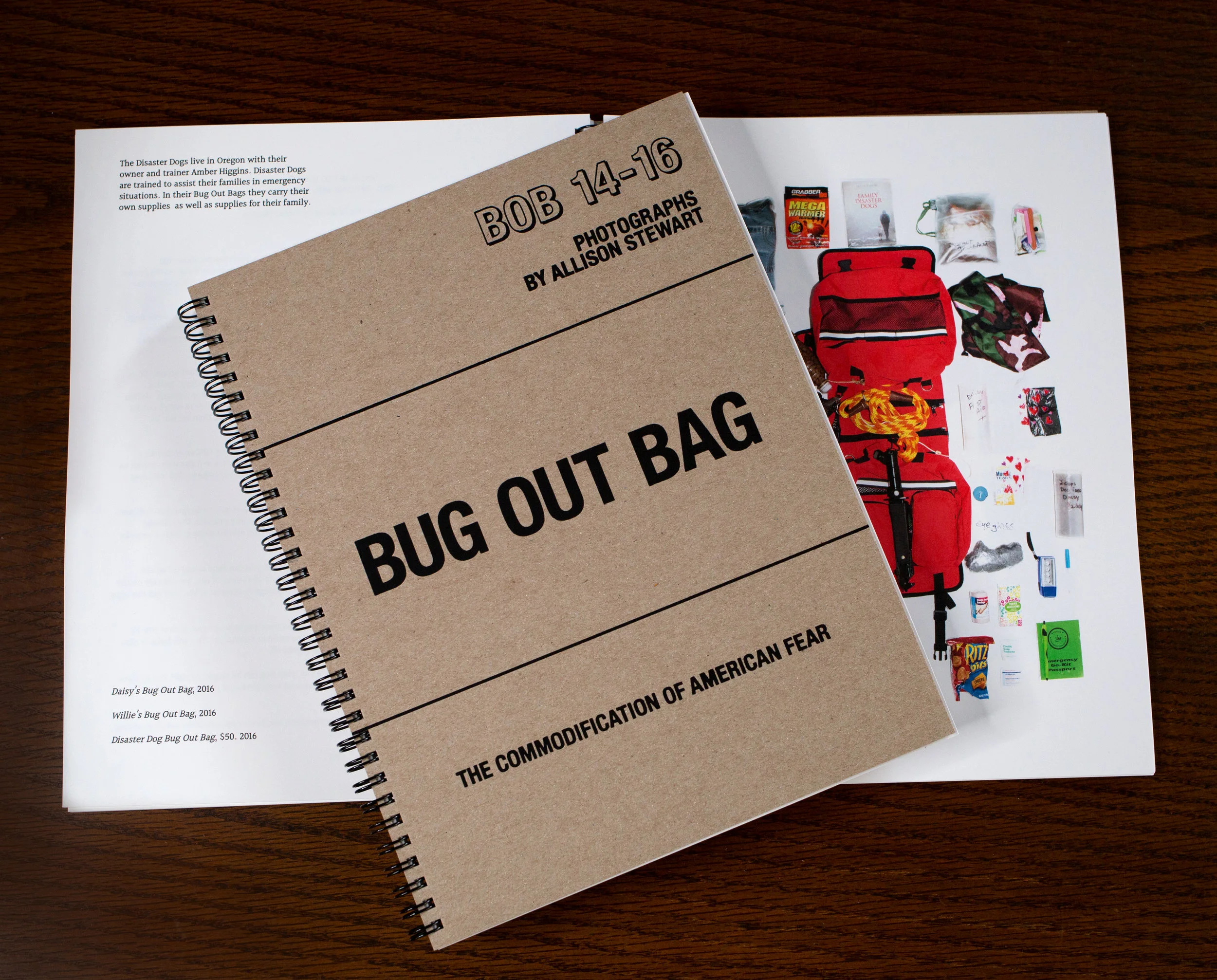 Cover layout.jpg