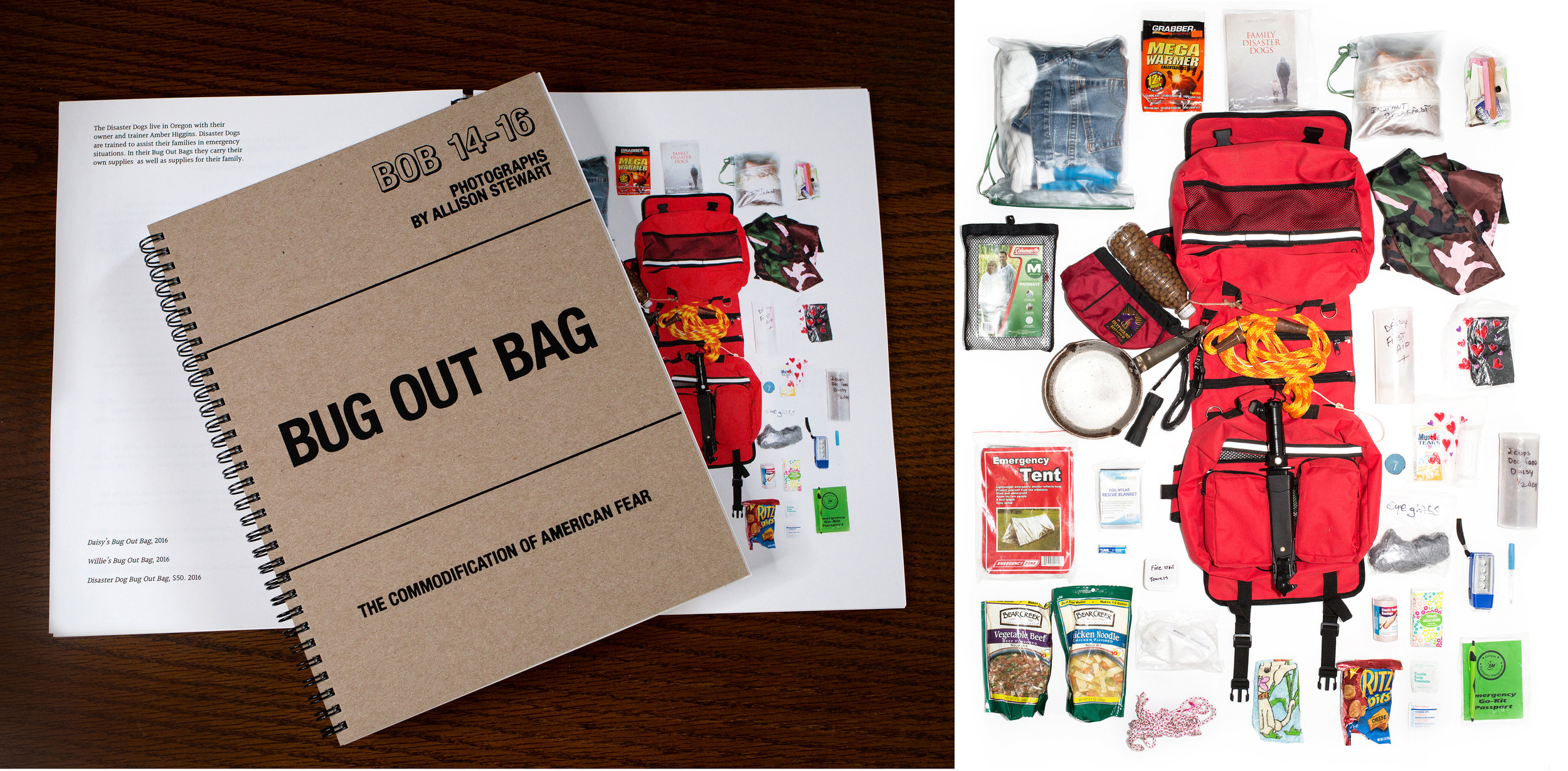 Book with Print_sm.jpg