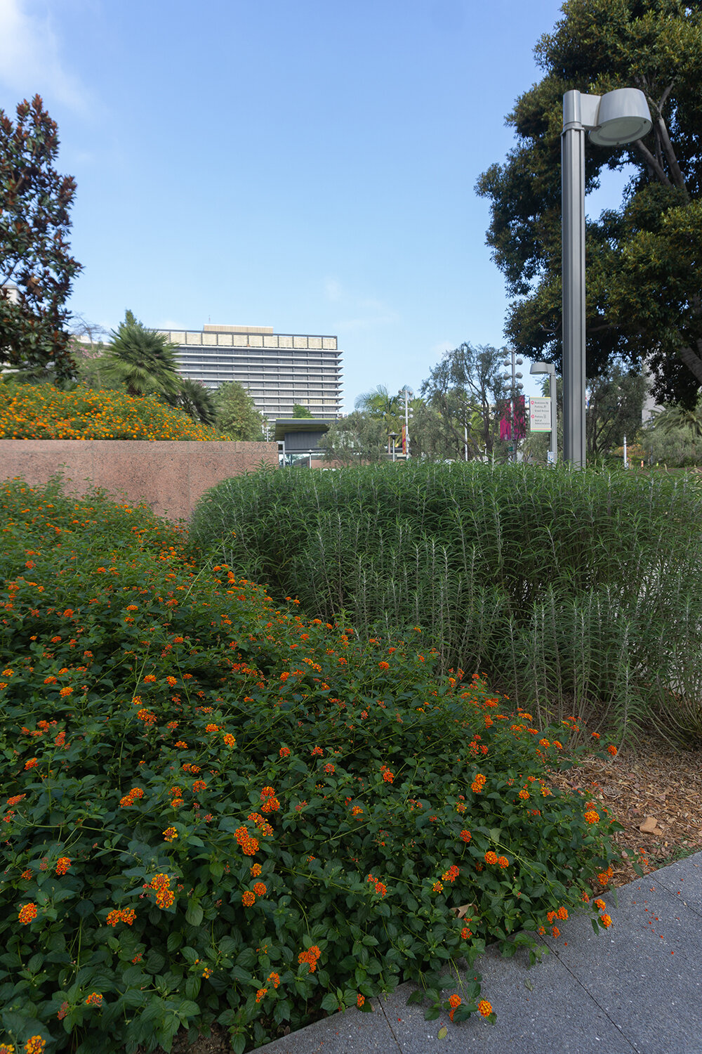 Removed Christopher Columbus, Los Angeles, California. &nbsp;