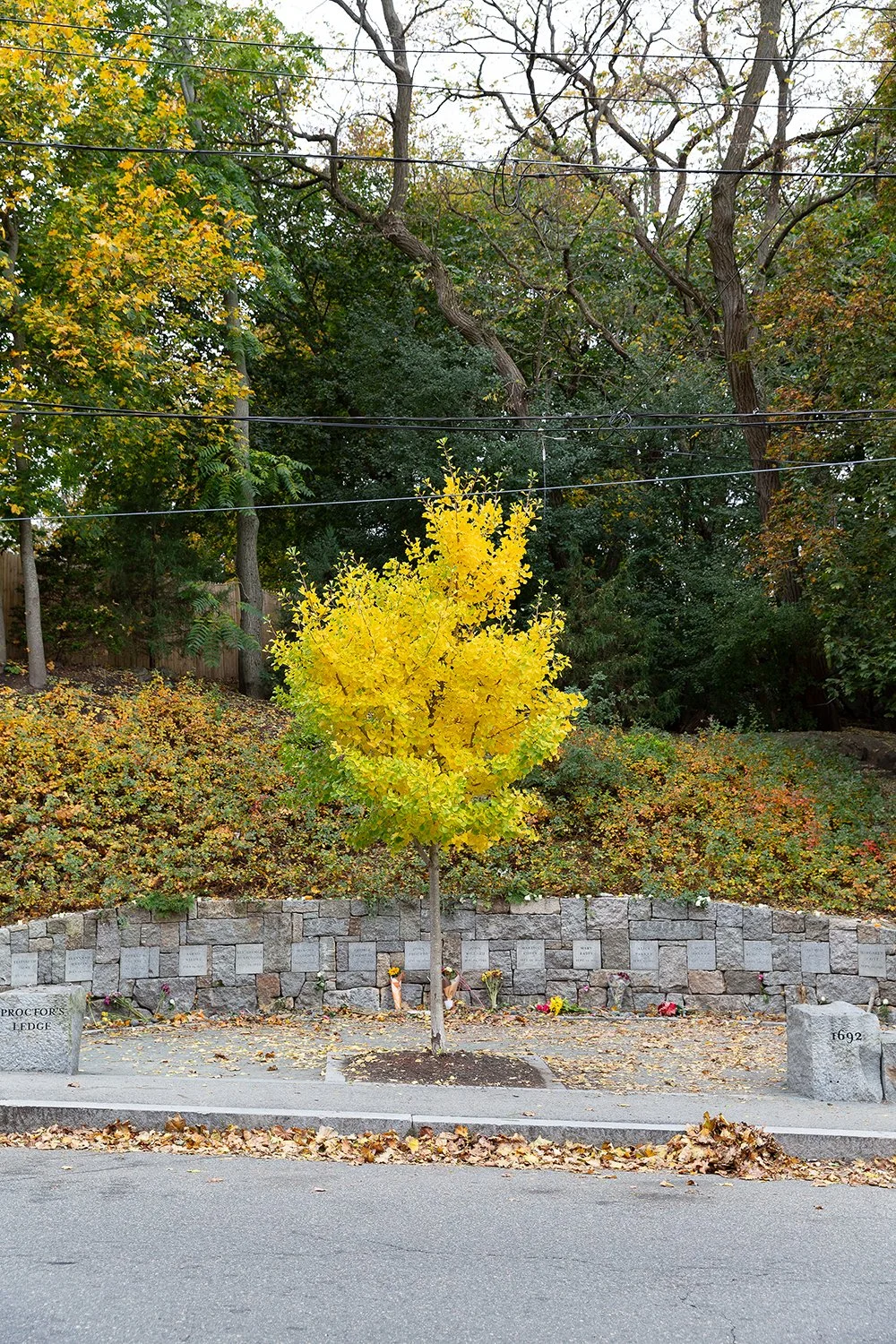 01_Proctors Ledge Samhain 2023.jpg