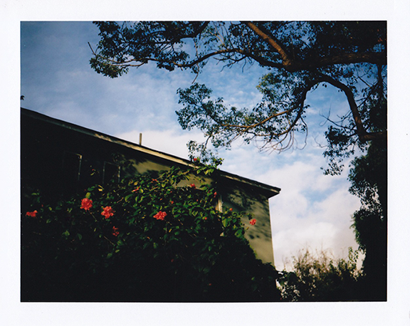 IMG_0005.png
