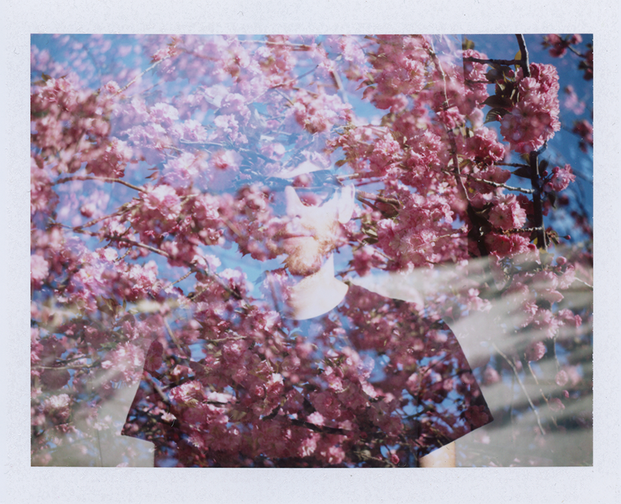 may111.png
