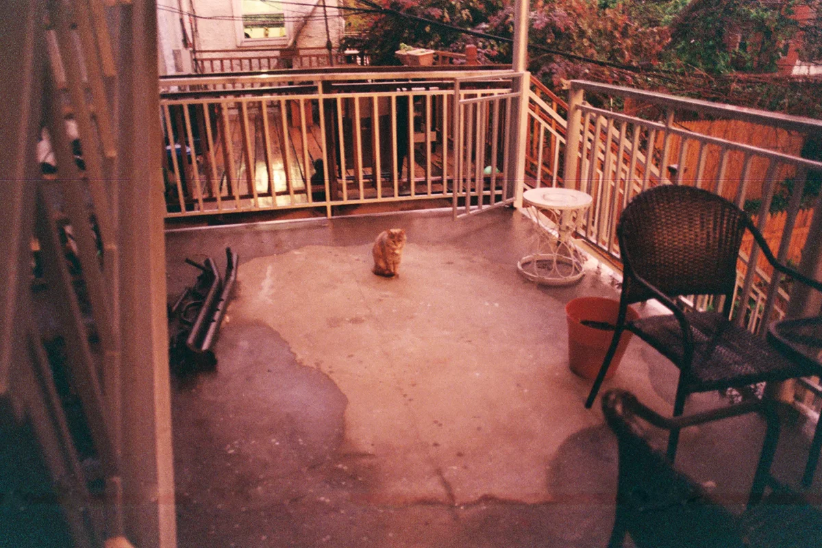 GonzAA020A.jpg