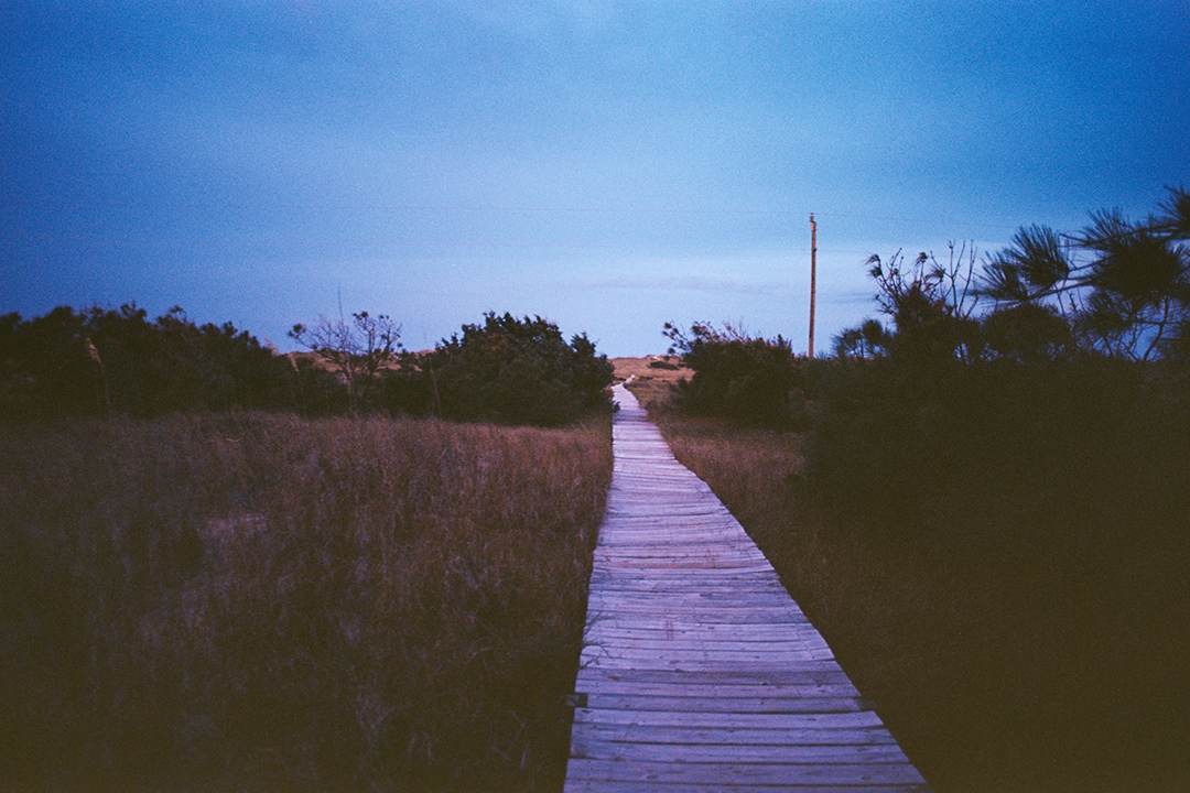 AA009A.png