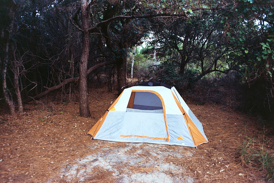 AA018A.png
