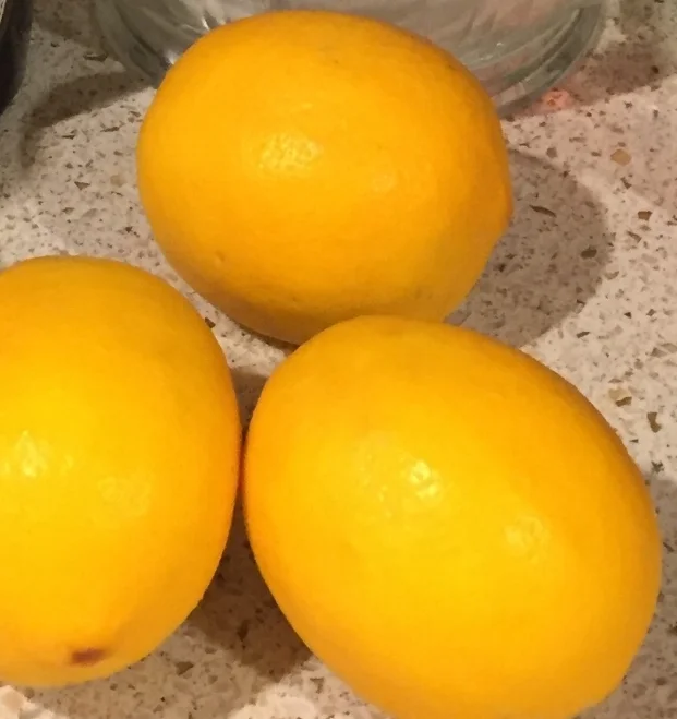 Lemon Tart by a Non-Baker 