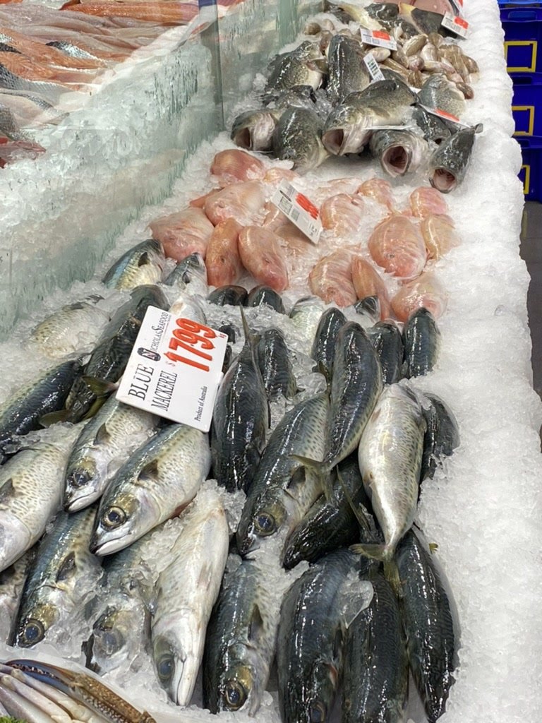 sydney-fish-market.jpg