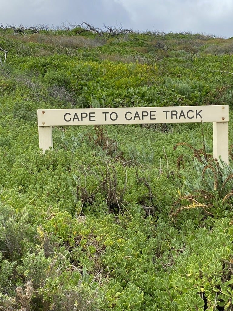 Cape-to-Cape-Track.jpg