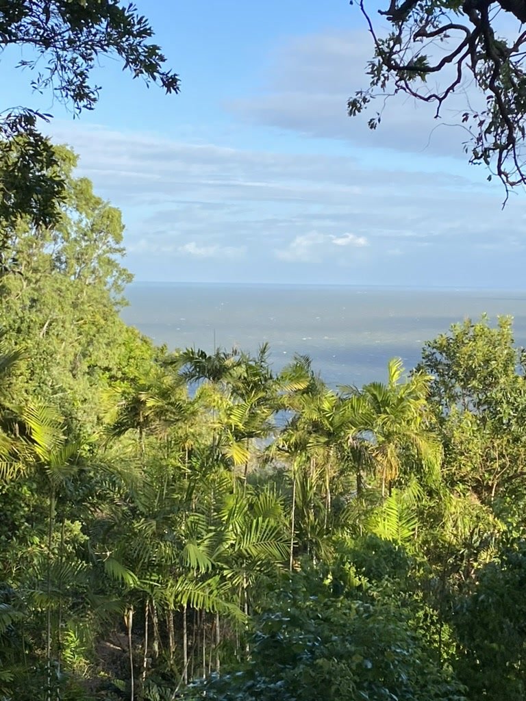 Queensland-coast view.jpg