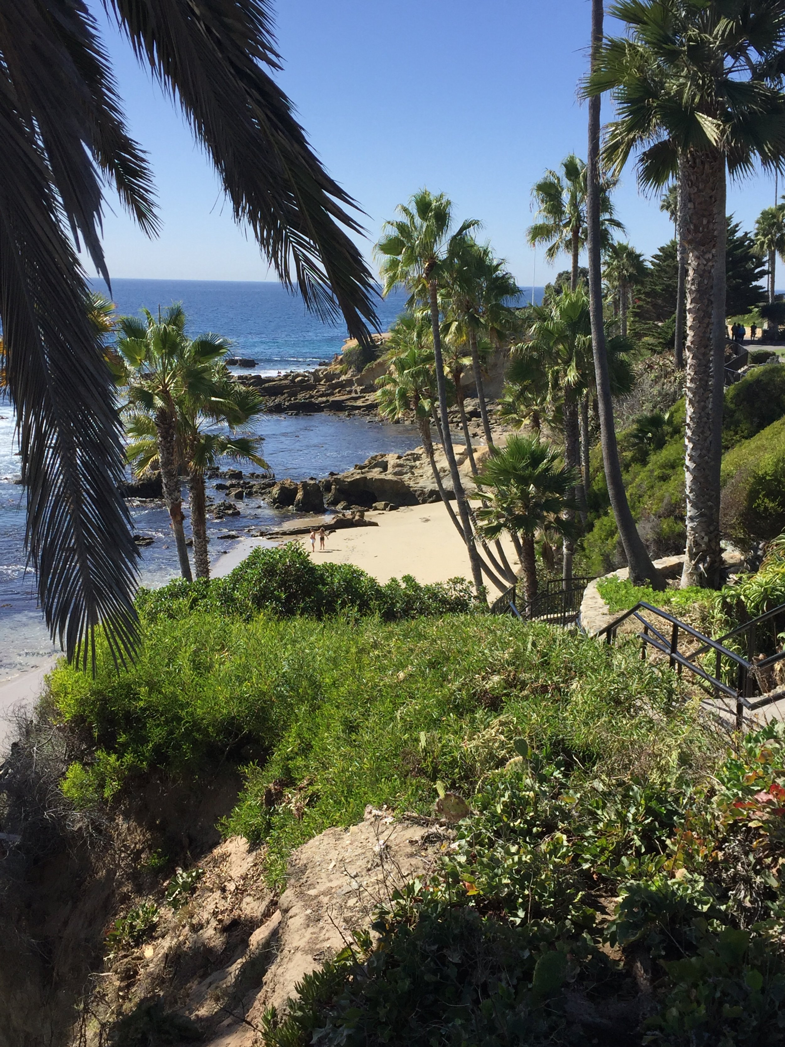Laguna Beach Feasts 2024
