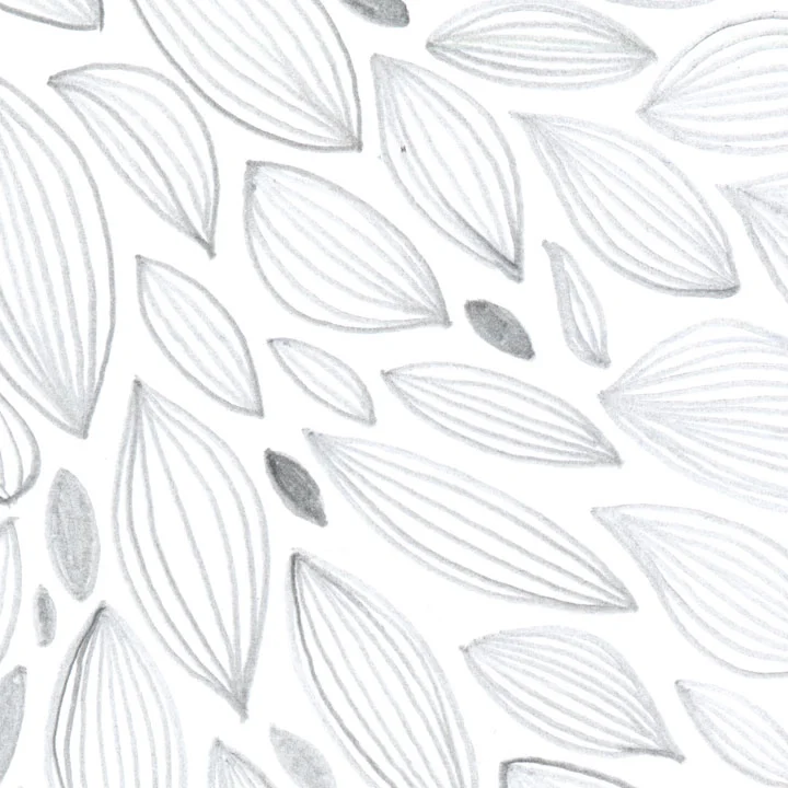 sept-pattern-detail.jpg