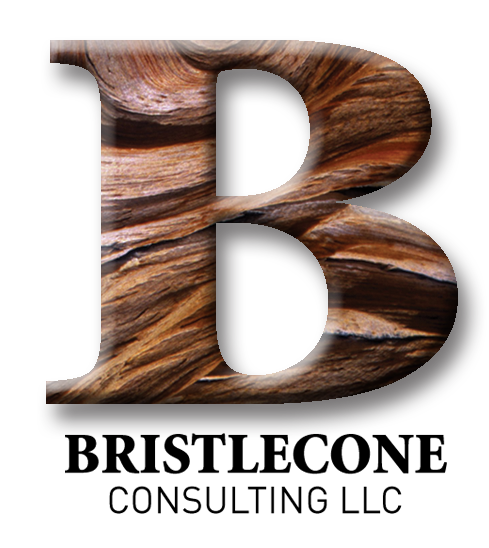 BristleconeConsultingClr.png