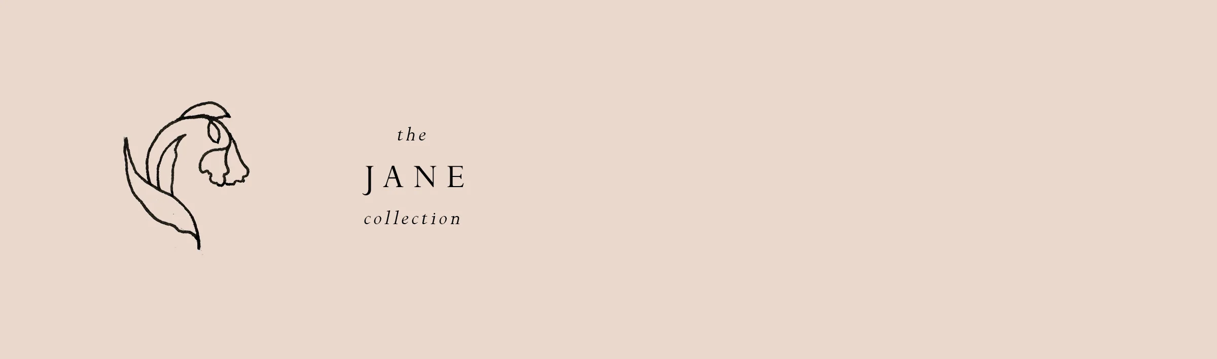 jane_banner3.jpg