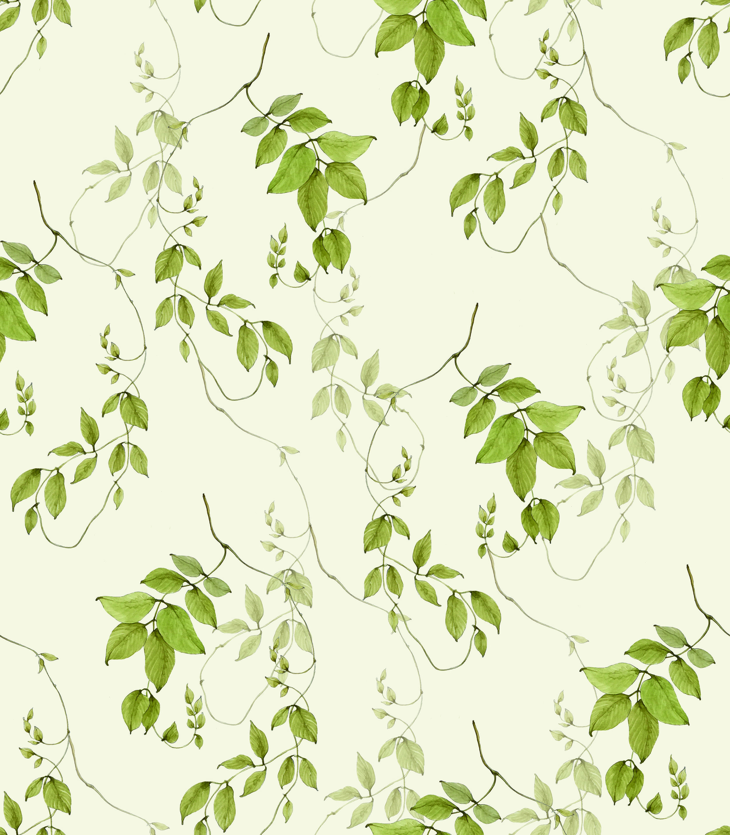 HD vines backgrounds wallpapers  Peakpx