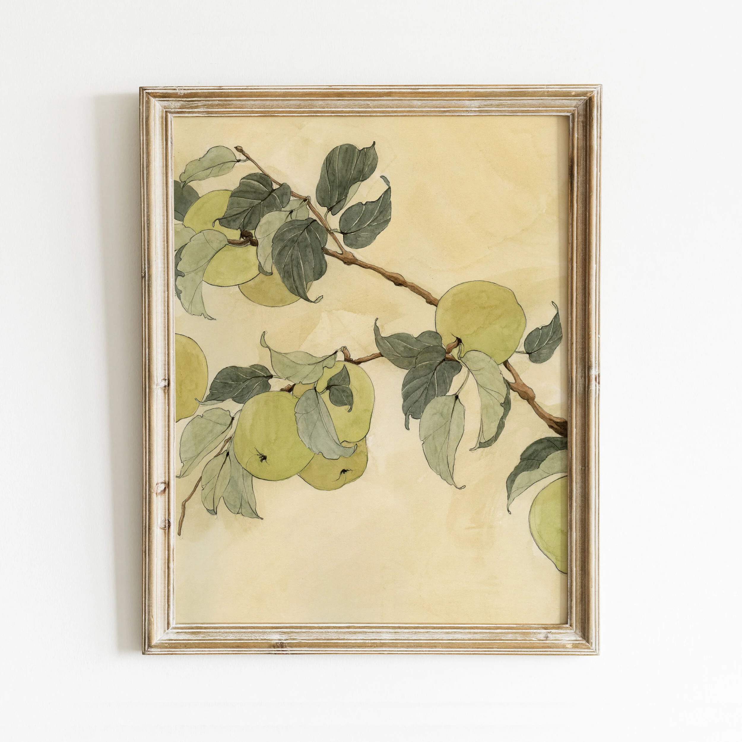GreenApples.jpg