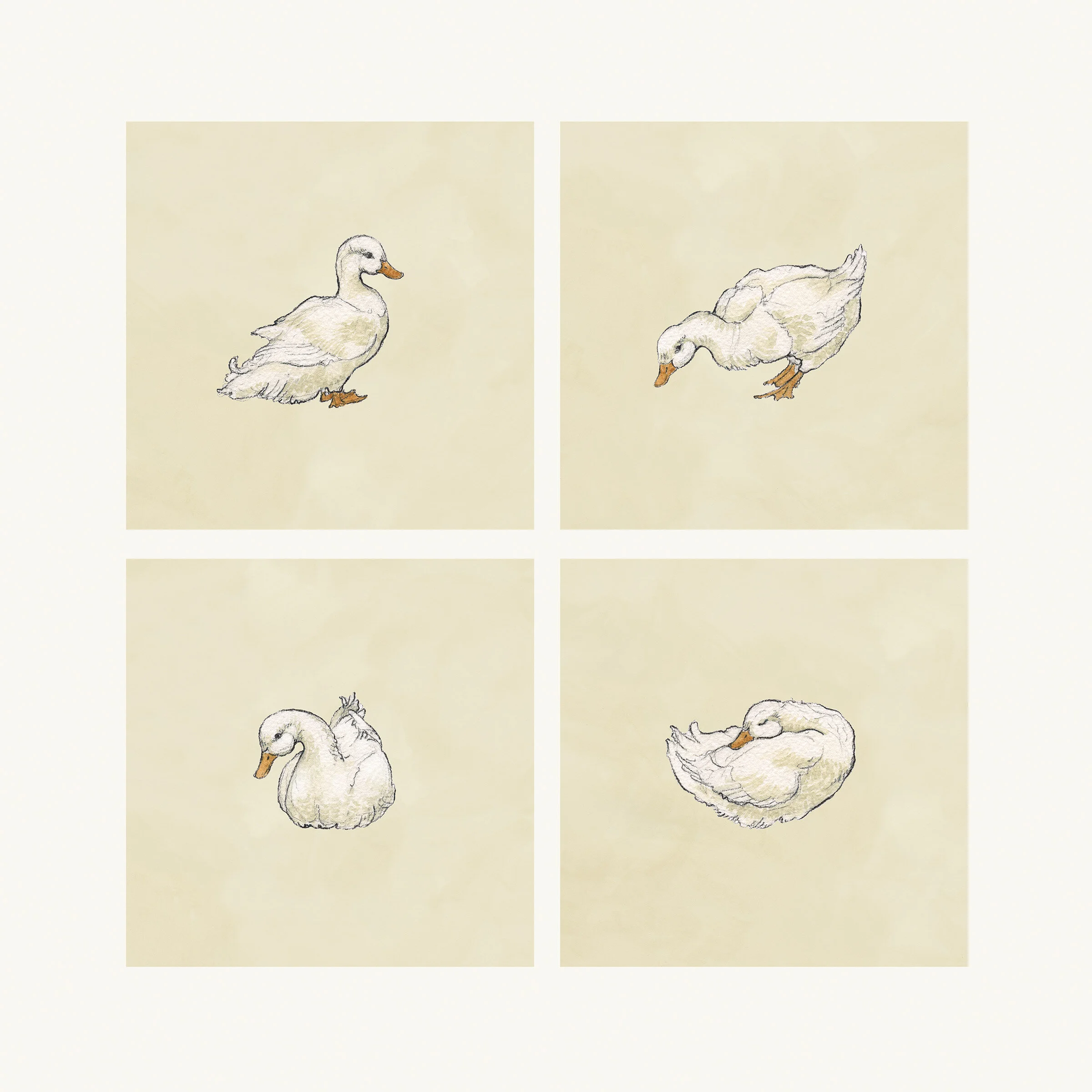 DuckSetFour.jpg