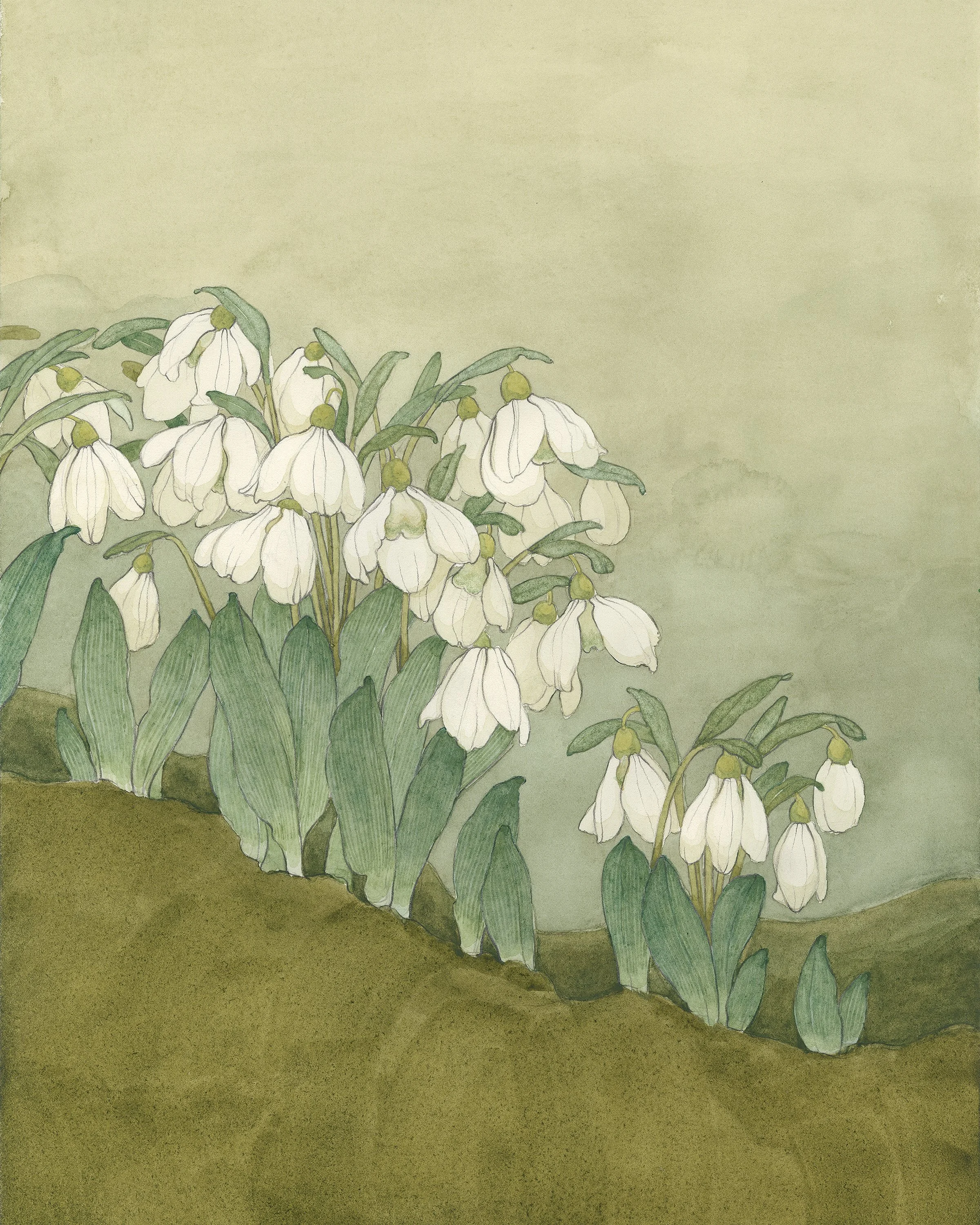 Snowdrops_Calendar8x10.jpg