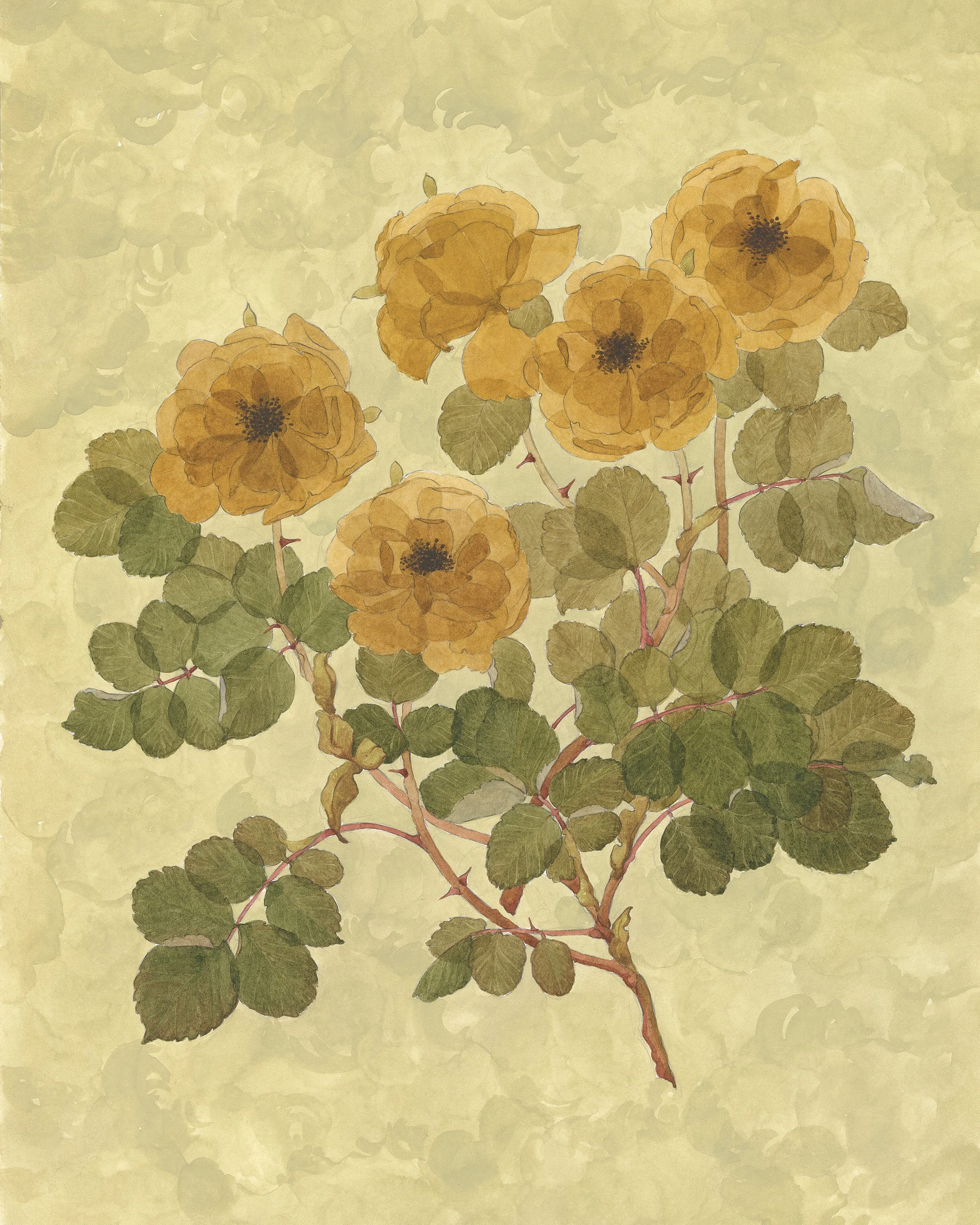 PressedRoses_Cal8x10.jpg