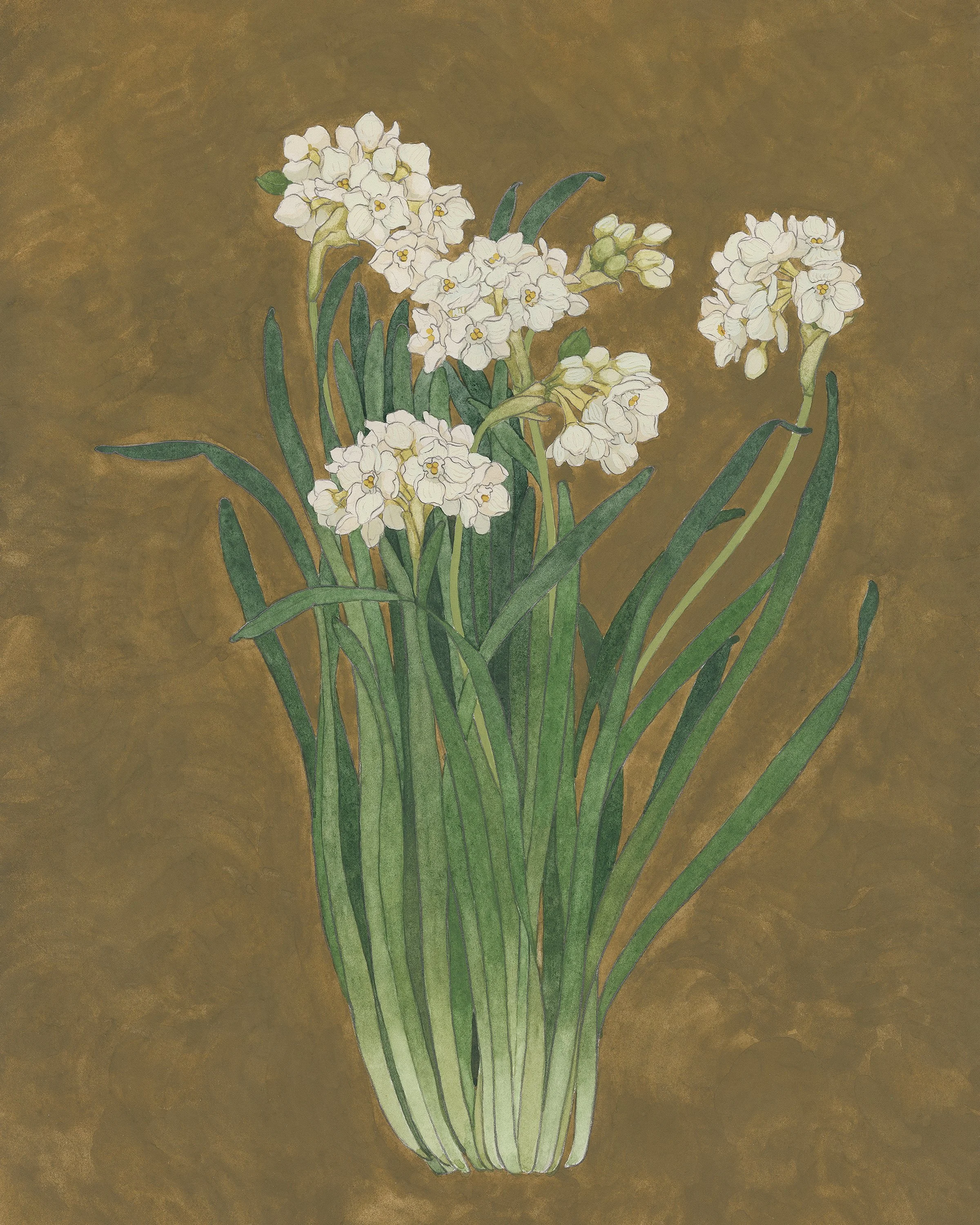 Paperwhites_Calendar8x10.jpg