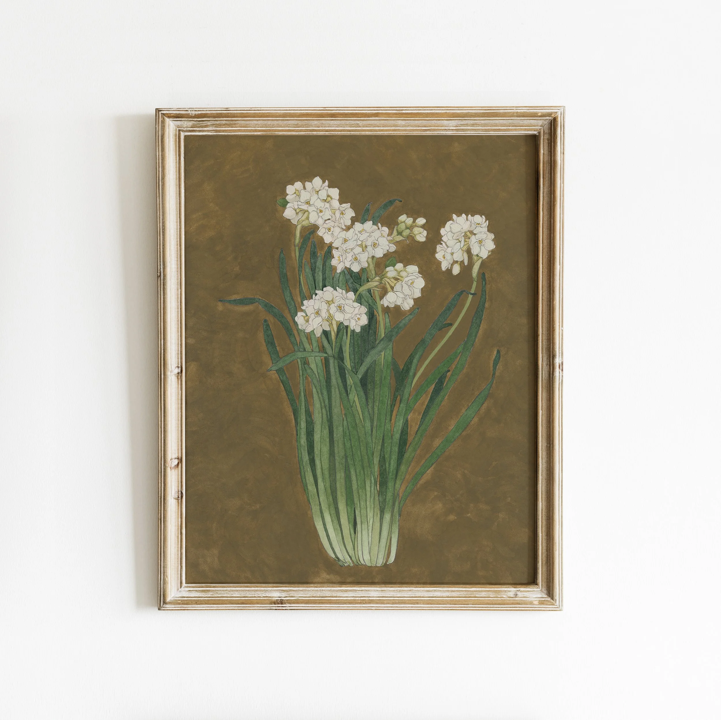 Paperwhites_Framed.jpg