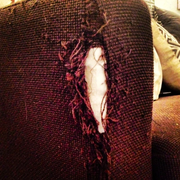 This is not a scratching post. 