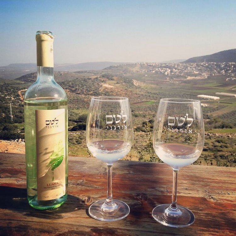 The breathtaking view from Kibbutz Lotem is best enjoyed in person, but here is a sneak preview. Photo: Kibbutz Lotem (Instagram)