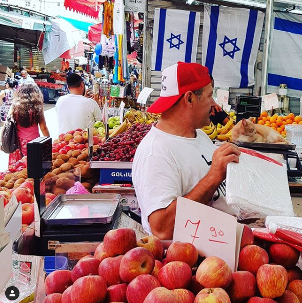How to: Have a Delicious Tel Aviv Passover