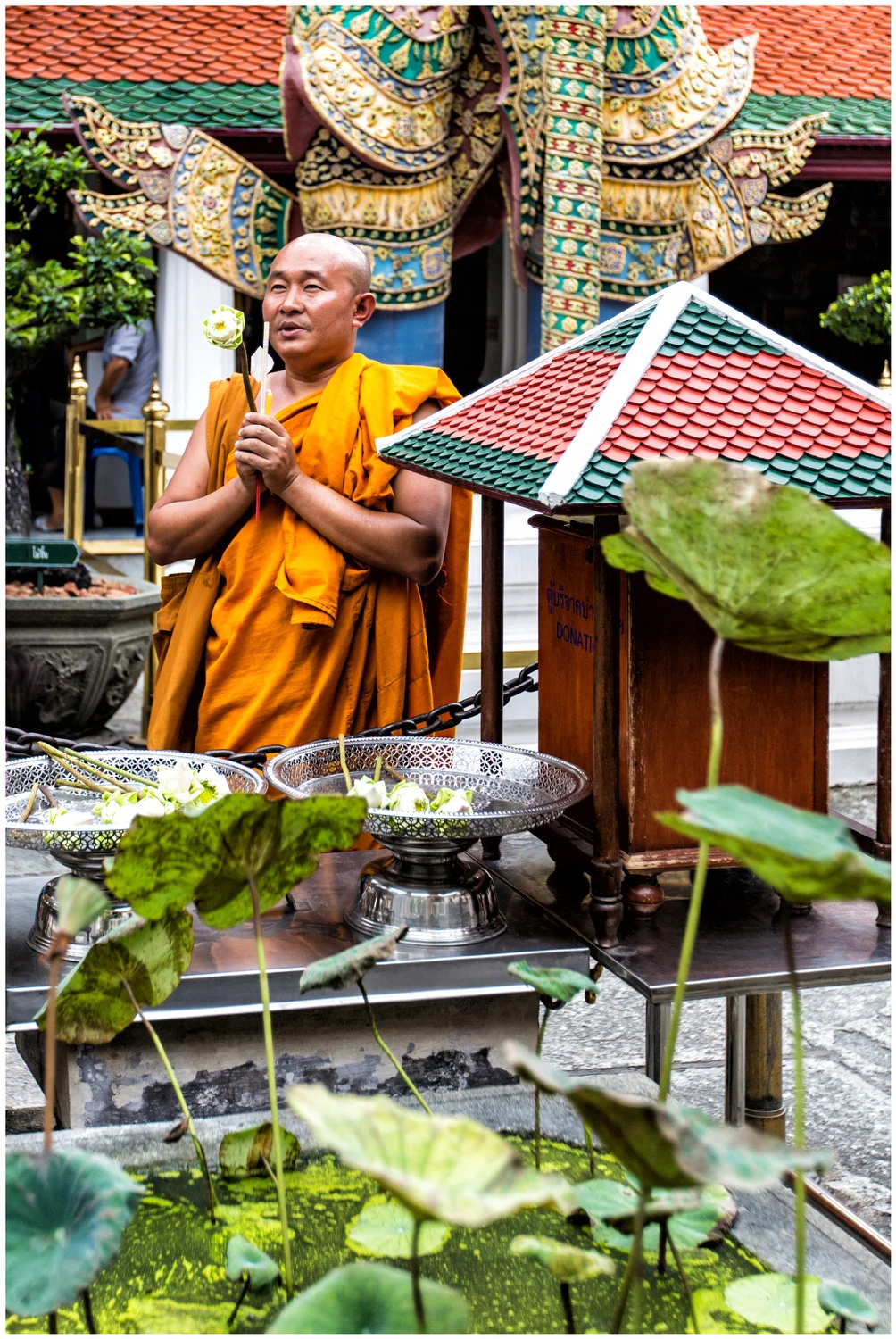  Rolando Diaz Photography, Miami Based travel photographer, Interior design Photography, Architectural&nbsp;Photography,&nbsp;Miami&nbsp;travel photographer,&nbsp;travel photographer, Asia 