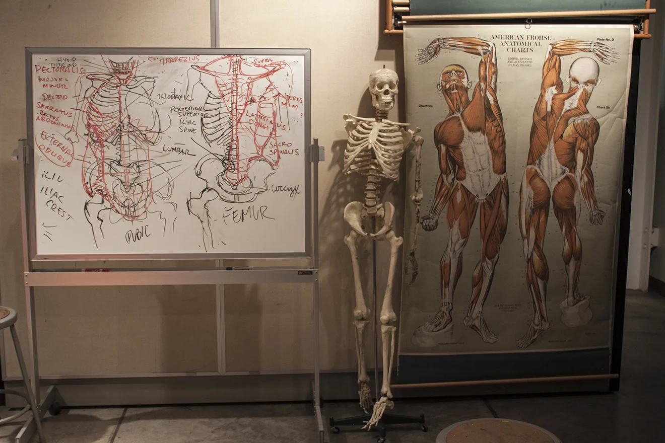 AnatomyLecture3t.jpg
