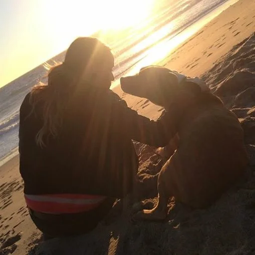 Forever my Cheeba R.I.P.
I love you Cheeba always and forever. #cheebacheebayall #bestpitever #alldoggotoheaven β€οΈπΆππΌπΌπΌ