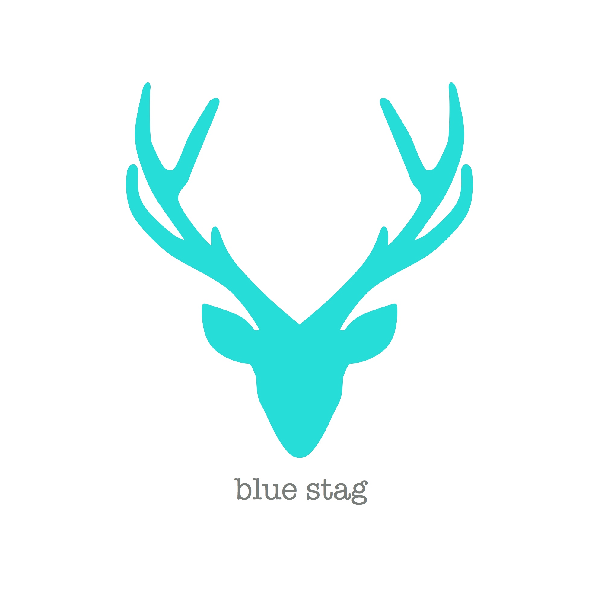 Blue Stag Clothing