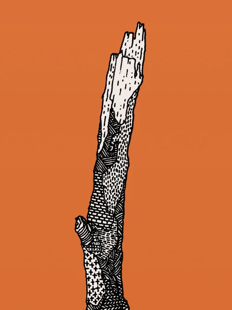 thumb-tia-2x-b.jpg