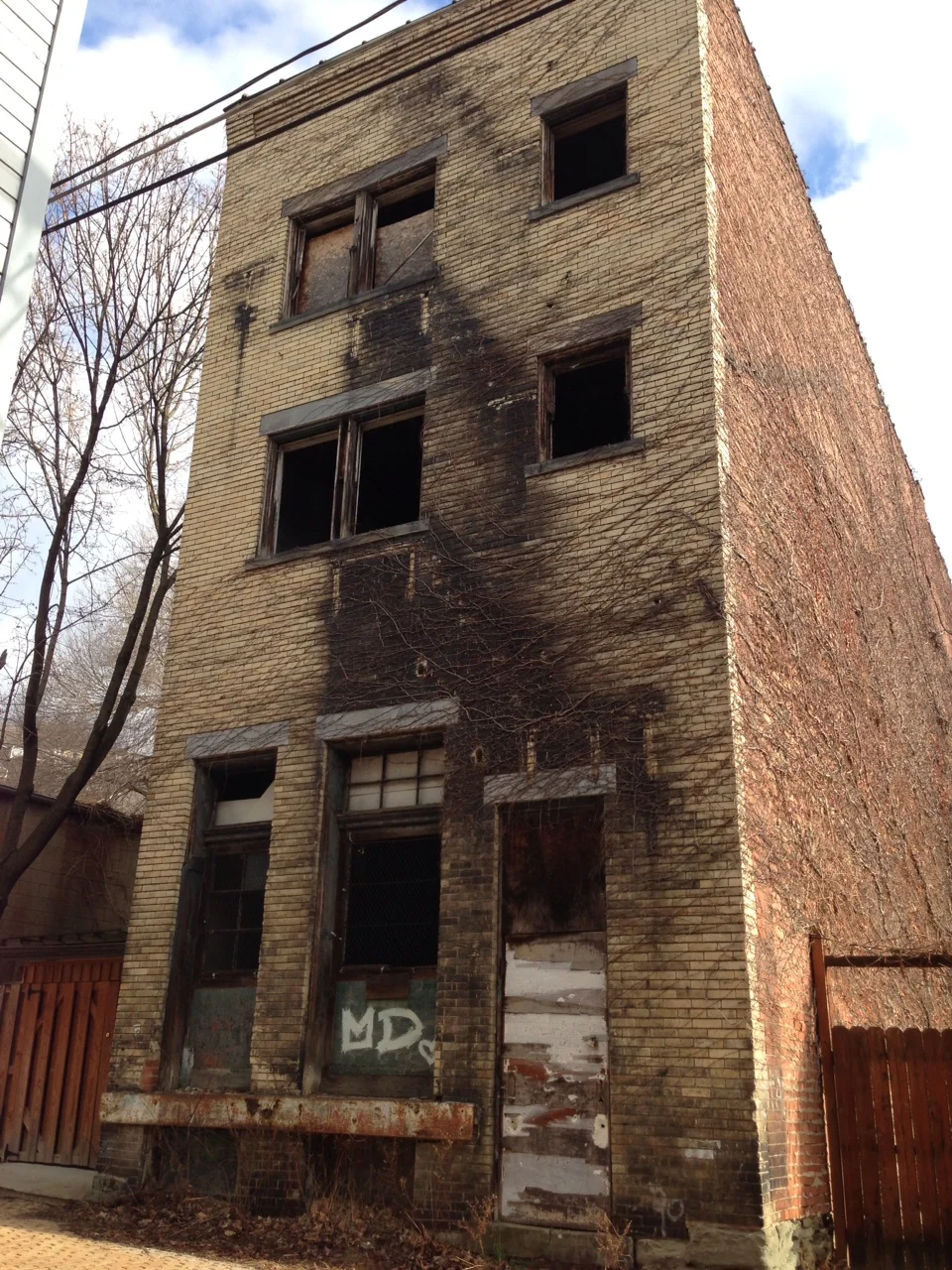 1521 Back Before.JPG