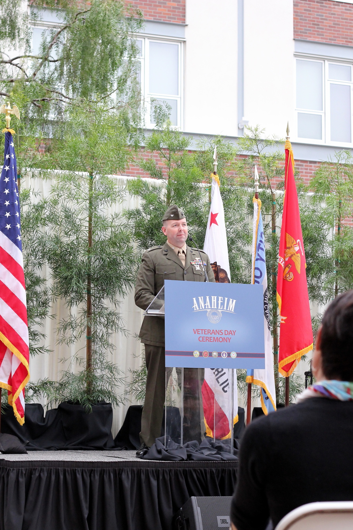   City of Anaheim Veterans Day Ceremony - Museo. Anaheim, CA 2011  