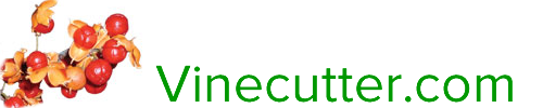 Vinecutter.com