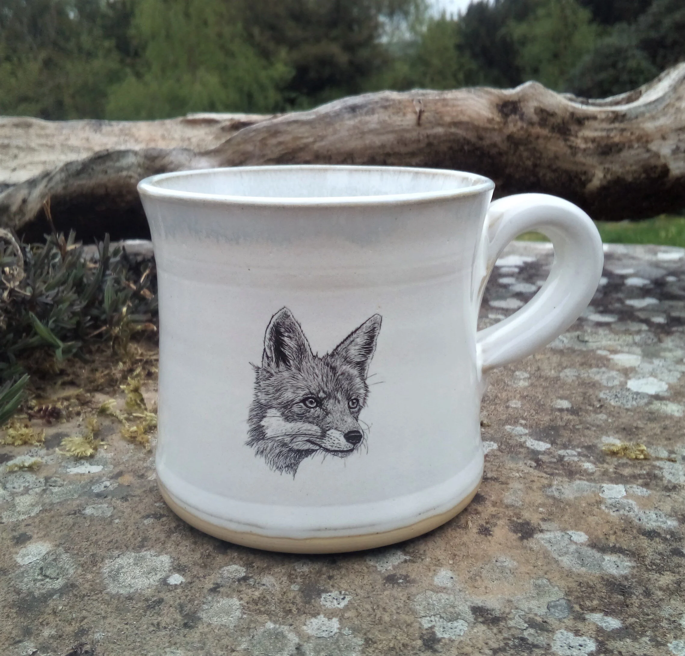 Mug Fox.jpg