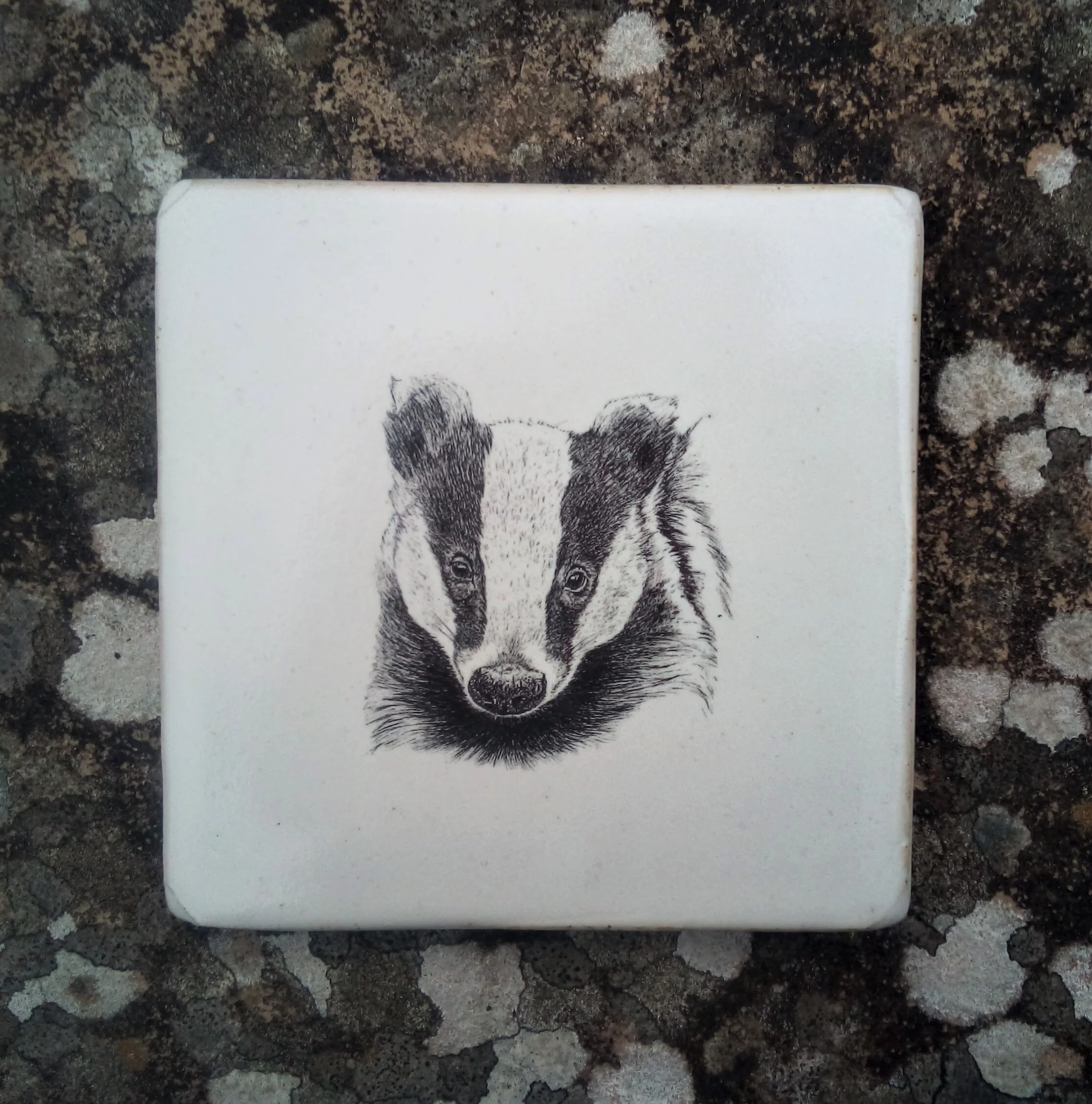 Tile Badger.jpg