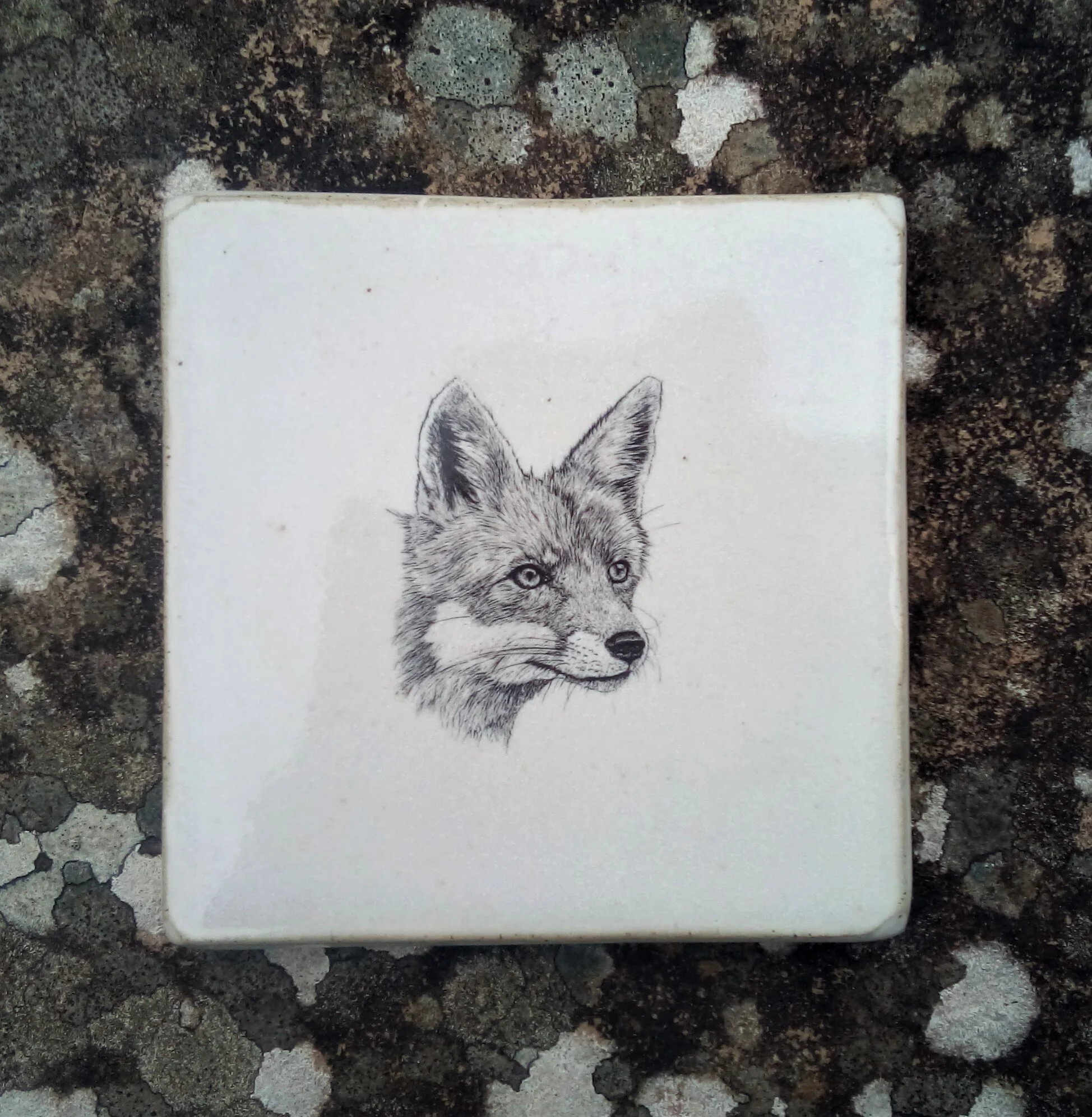 Tile Fox.jpg