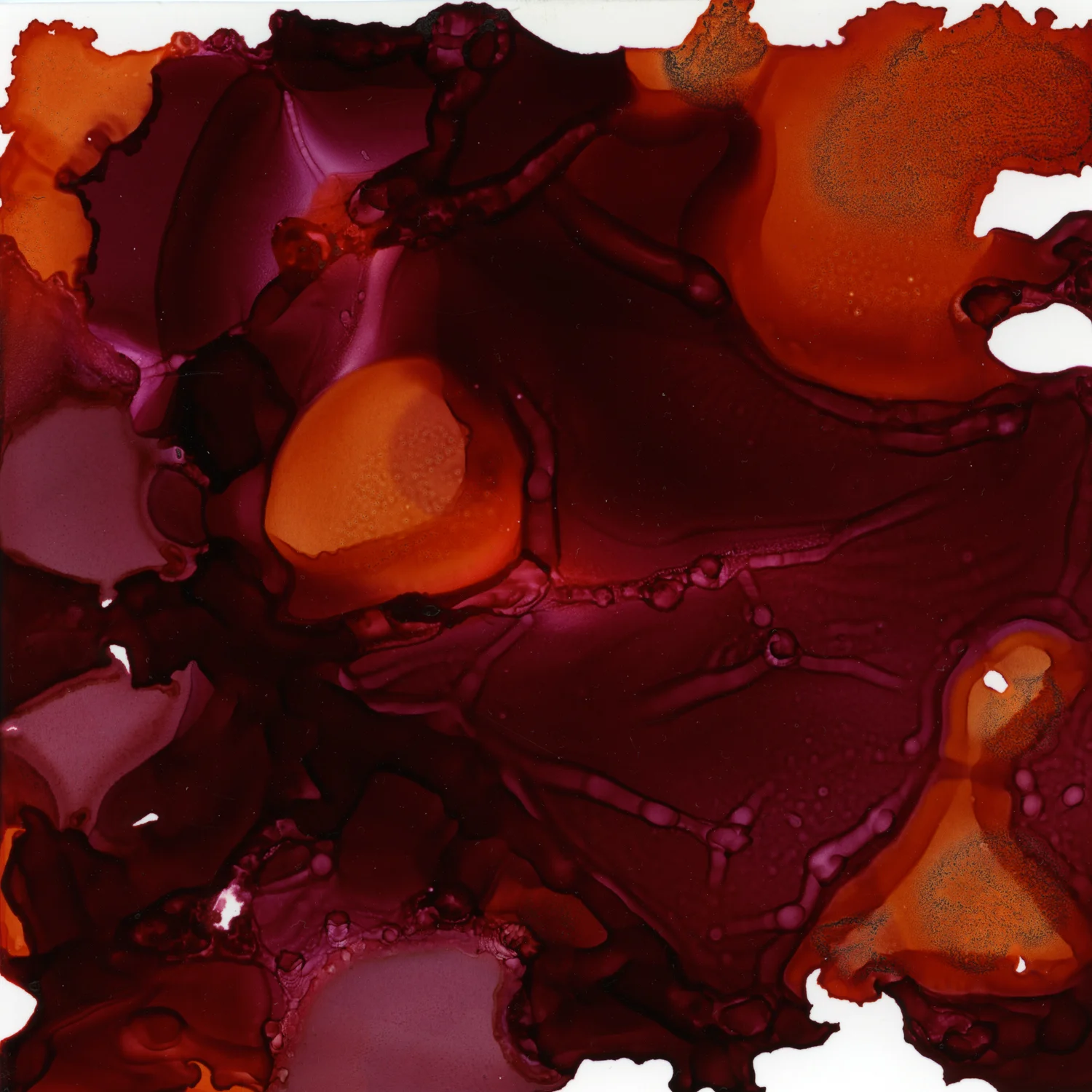 100DayProject056.jpg