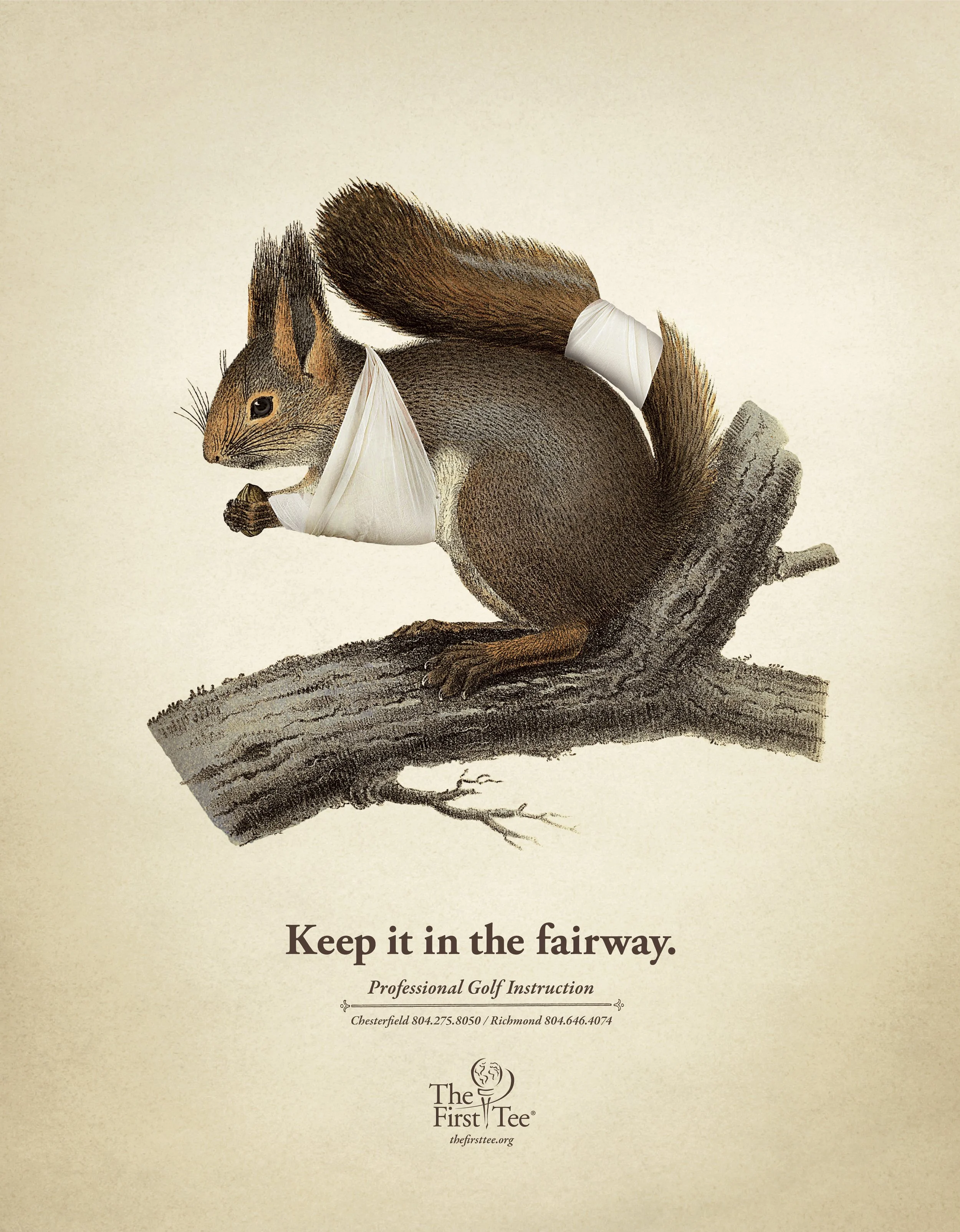SS_PAGES.firstTee.squirrel.jpg
