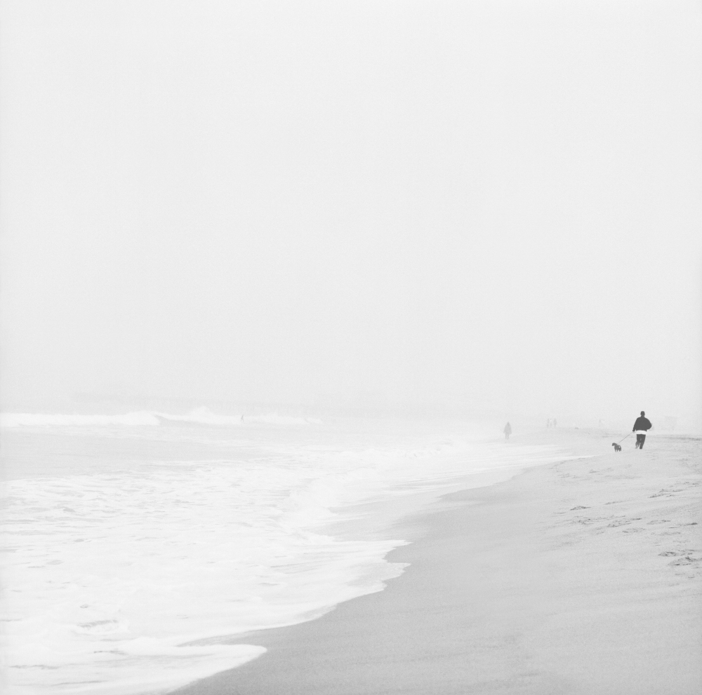 A Walk on the Beach