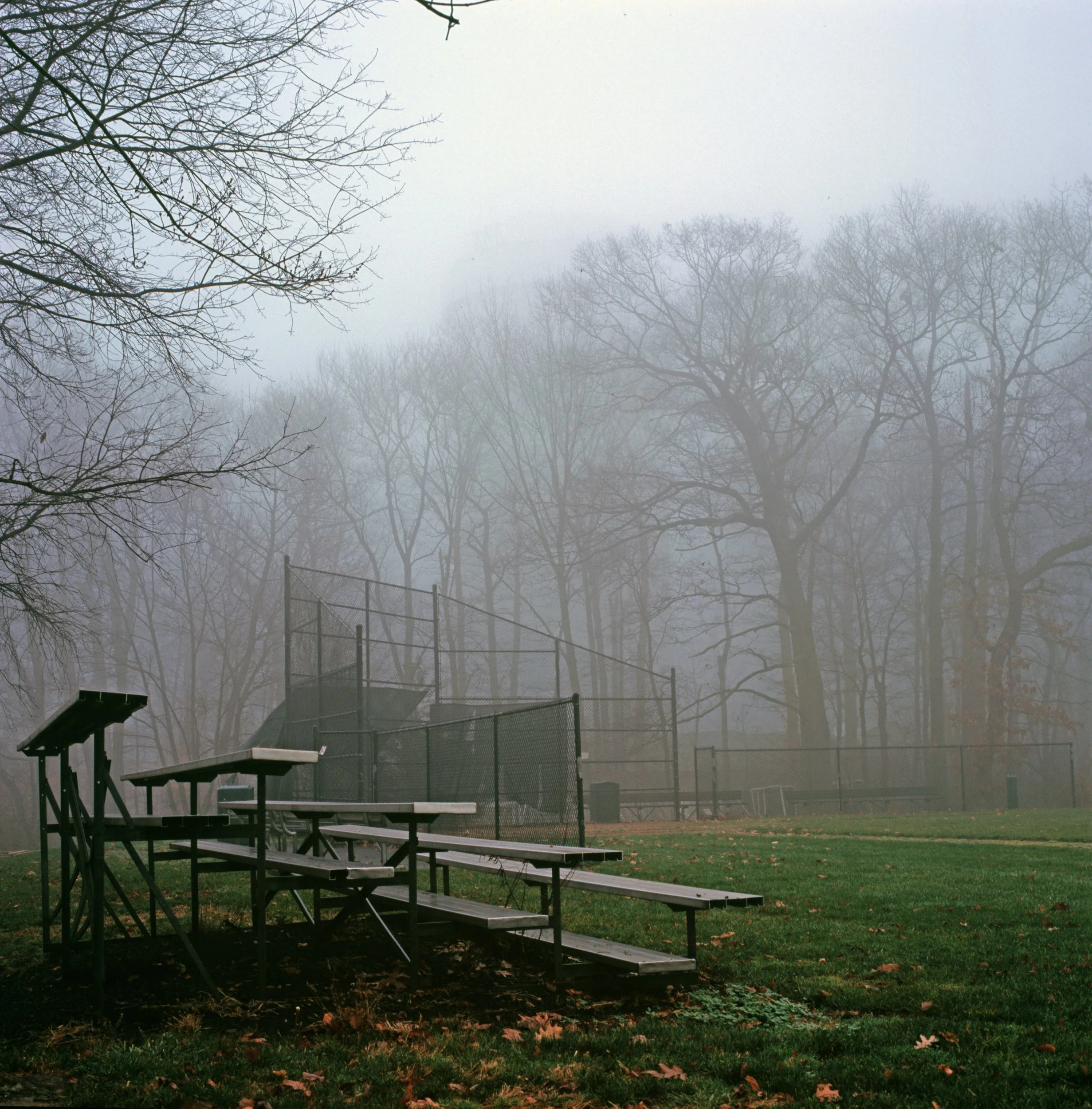 Bleechers and Backstop