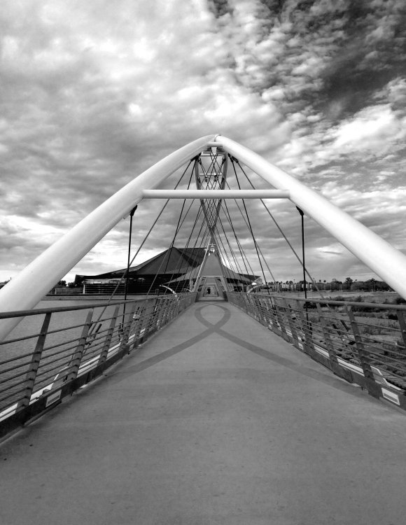 Bridge #0637
