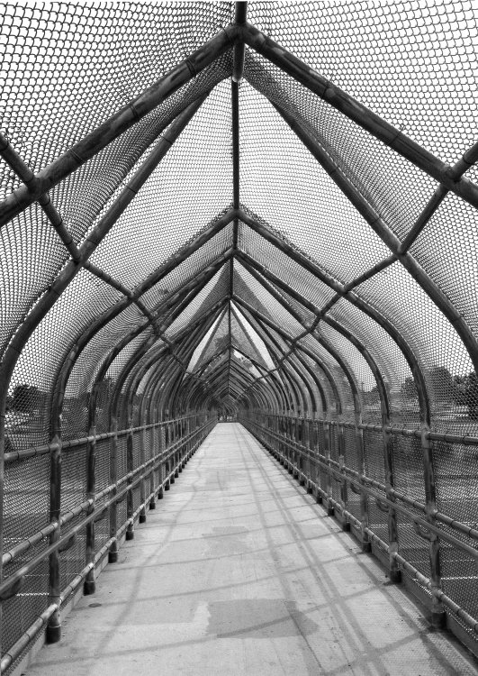 Bridge #1957