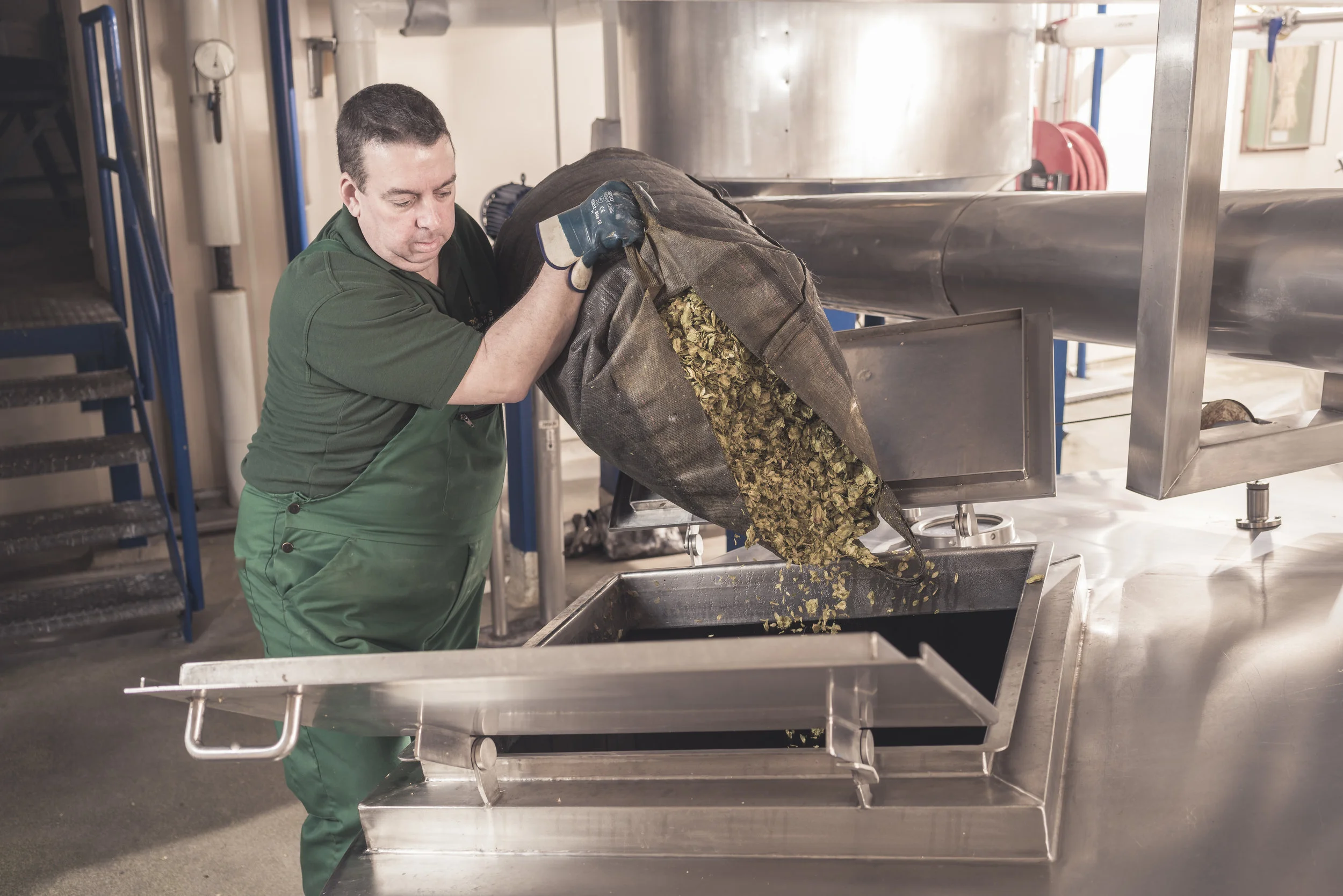 3790_DSC8245_Hops.jpg